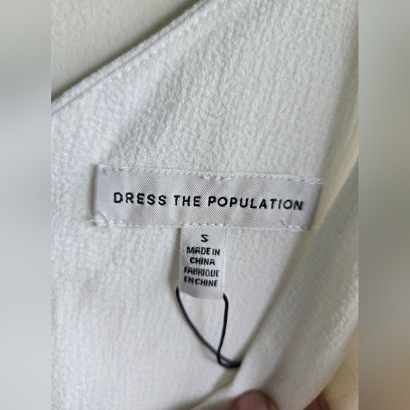Dress The Population, Alicia Chiffon A-Line Dress, Ivory, Size Small - NWT!! - Picture 10 of 13
